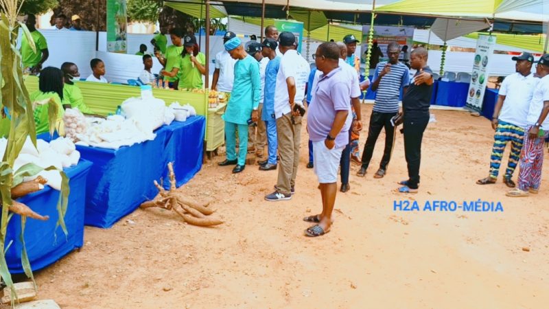 Commune d&rsquo;Aplahoué : La Foire Agricole des 30 Meilleures Initiatives des bénéficiaires PADAAM lancée ce jeudi