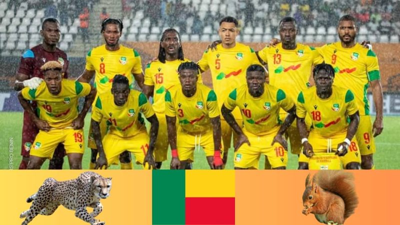 Football béninois et qualification historique à une coupe du Monde : Guépards ou Écureuils, le vrai combat du Bénin reste la structure