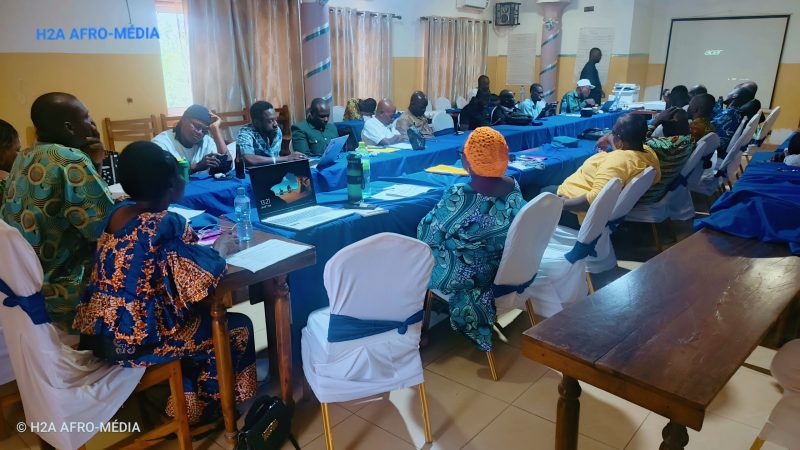 Communication sensible au genre et lutte contre le VIH : Plan International Bénin outille des professionnels des médias à Azové